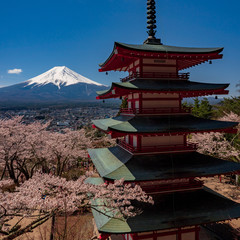 Chureito Pagoda and Mt. Fuji in the spring time with cherry blossoms at Fujiyoshida, Japan.