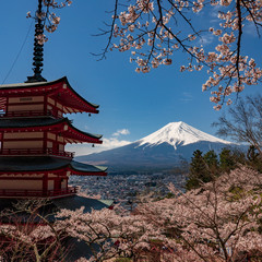 Chureito Pagoda and Mt. Fuji in the spring time with cherry blossoms at Fujiyoshida, Japan.