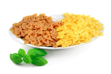 2 types of uncooked pasta:whole wheat butterfly/ordinary butterfly on porcelain plate, decorated with fresh basil. Isolated on white background,front view.Traditional Italian cuisine. Farfalle pasta.