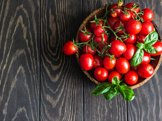 Fresh cherry tomatoes and basil in a wooden plate on a dark background. Harvesting tomatoes. 