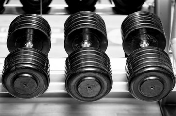 Different sizes and weights of dumbbell free weights at a gym in black and white .