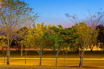 Night picture with light trails of cars on a road in Palmas City, Tocantins, Brazil. Green trees and sky with intense toners of blue, lavender and purple. 2017