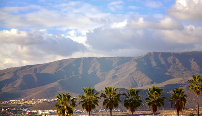 Fototapeta na wymiar View with palm trees and mountains in Costa Adeje - one of the favorite tourist destinations of Tenerife,Canary Islands,Spain.Summer vacation or travel concept.Soft focus.