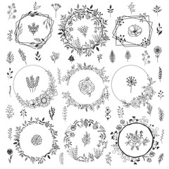 Collection of Hand Drawn Floral Elements. Vector Frames and  Leaves, Flowers and Herbs