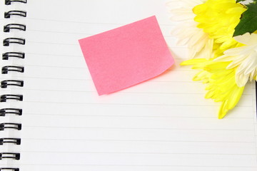 blank Sticky Note card for message,greeting,love showing,excuse related concept  with flower in white background