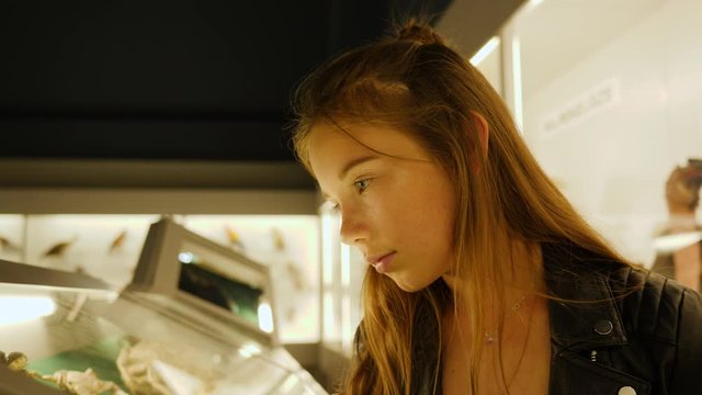 Teenager cute girl makes draw sketches in graphic tablet of stuffed animals and birds in museum of nature as part of school task of biology