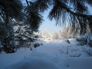 Winterlandschaft
