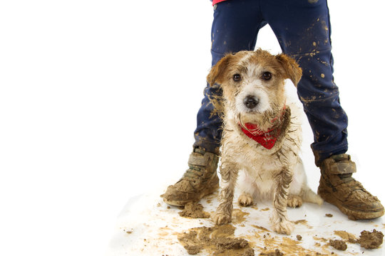 FUNNY DIRTY DOG AND CHILD. PUPPY AND BOY WEARING BOOTS AFTER PLAY IN A MUD PUDDLE. ISOLATED STUDIO SHOT AGAINST WHITE BACKGROUND.