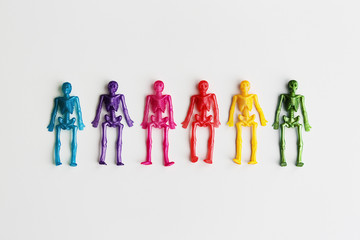 Colorful toy skeletons