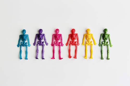 Colorful toy skeletons