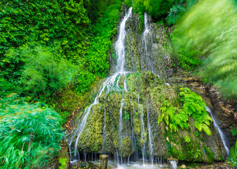 waterfall in the forest