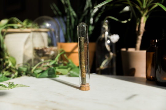 CBD hemp joint wrapped in natural paper