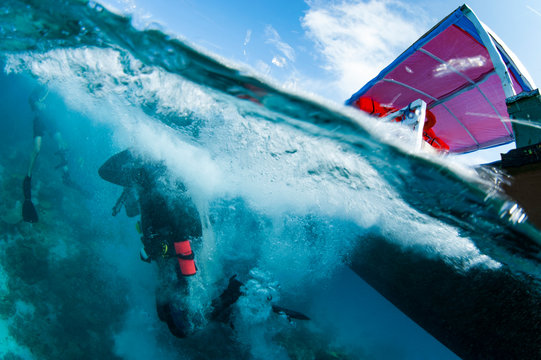 Half Above Half Below - Divers (assorted)