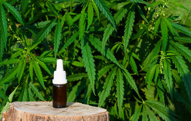 Hemp CBD oil pipette, marijuana oil bottle, cannabis extracts in jars, medical marijuana,...