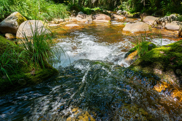 Top view of a small waterfall with running water and green vegetation. Forest stream.