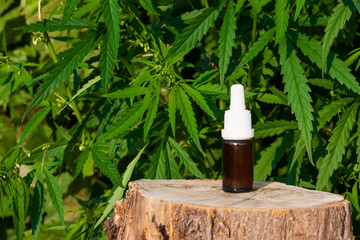Hemp CBD oil pipette, marijuana oil bottle, cannabis extracts in jars, medical marijuana,...