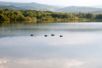 beautiful summer lake against the background of high mountains and blue sky