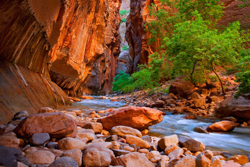 The Narrows hike in the Virgin River of Zion National Park. - 281318534