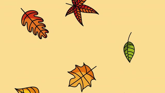 hello autumn season with leaf rain animation