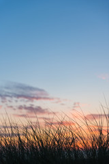 Beach scene, grass in foreground with very nice evening sky at sunset, vertical with copy space