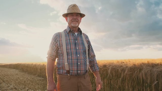 Caucasian handsome old man farmer walking his wheat field during harvest season and taking off his hat like doing greeting gesture.