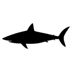 Obraz premium Black Silhouette of a great white shark icon. White shark vector icon.