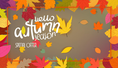 Autumn colorful leaves frame. Hello autumn season