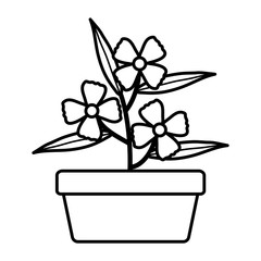 flowers and leafs garden in square ceramic pot decoration