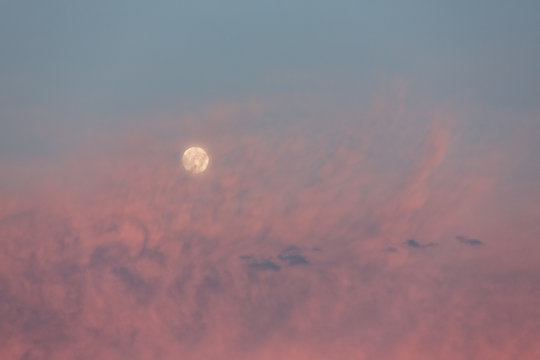 Moonrise behind pink clouds.