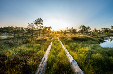 Warmly colored sunrise over a foggy swamp. Aerial view of stunning landscape at peat bog at Kemeri National park in Latvia. Wooden trail leading along the lake surrounded by pounds and forest. 