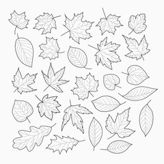Autumn leaves vector banner. Vector template