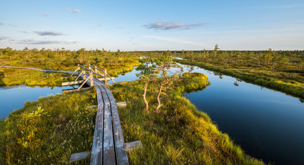 Warmly colored sunrise over a foggy swamp. Aerial view of stunning landscape at peat bog at Kemeri...