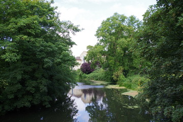 森の中にある川