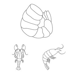 Isolated object of food and sea icon. Collection of food and animal stock symbol for web.