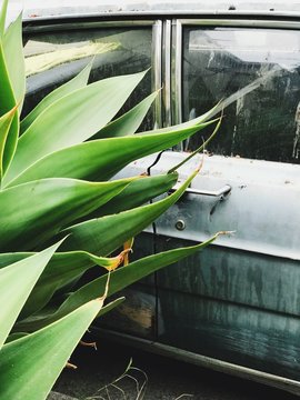 Plant meets machine