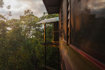 resort built in a forest