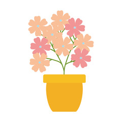 flowers garden in ceramic pot decoration