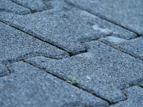 Knochensteine