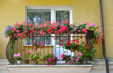 Fototapeta na wymiar Decorative flowers on a house balcony