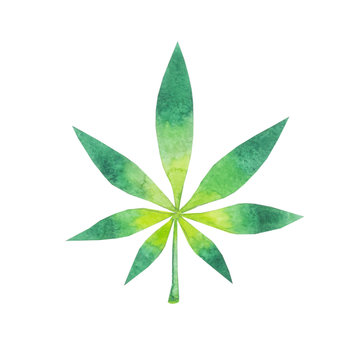 disegno foglia di marijuana cannabis verde sfondo bianco