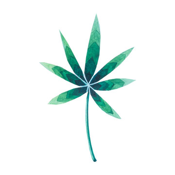 foglia di cannabis su sfondo bianco, disegno grafico verde, acquerello
