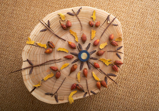 Closeup of a mandala pattern with plant material on a textured old wooden stake