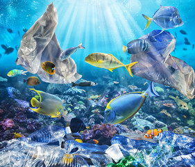 Fishes swims with floating bags. Problem of plastic pollution under the sea concept.