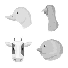 Vector design of countryside and homestead logo. Collection of countryside and breeding stock symbol for web.