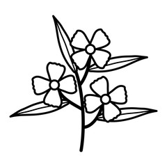 cute flowers and leafs garden plant decorative icon