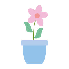 cute flower and leafs plant in ceramic pot