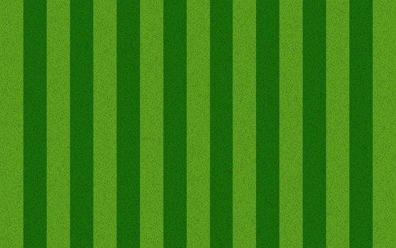 Grass texture  stripe field background .