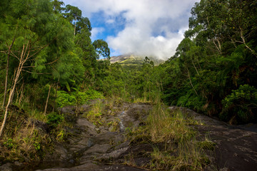 Fototapeta na wymiar Hiking on the Mayon Volcano
