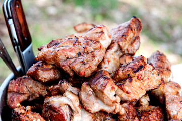 appetizing fried meat in a bowl. Eating on a picnic, in a hike, in the forest. Close-up