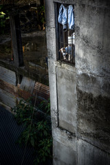 The lonely dog inside the cage